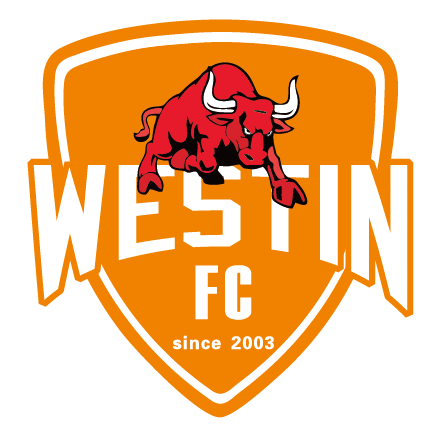 佛山三水鐵牛女足